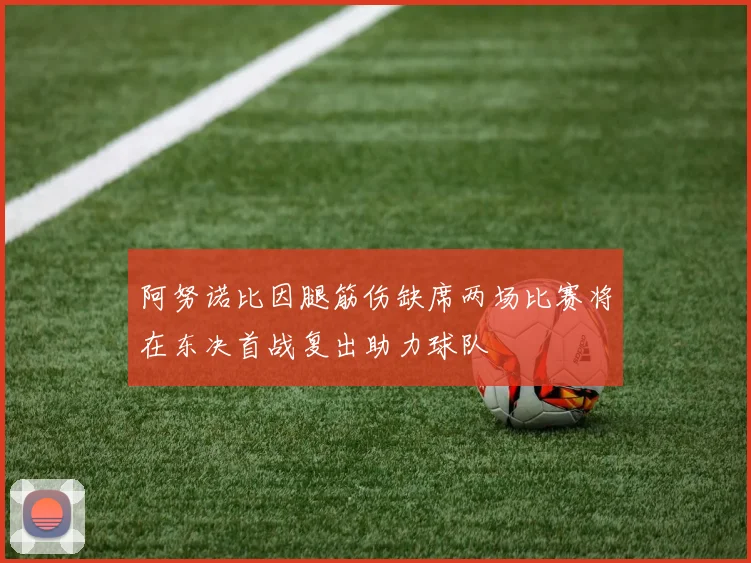阿努诺比因腿筋伤缺席两场比赛将在东决首战复出助力球队