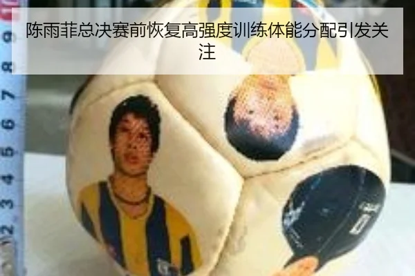 陈雨菲总决赛前恢复高强度训练体能分配引发关注